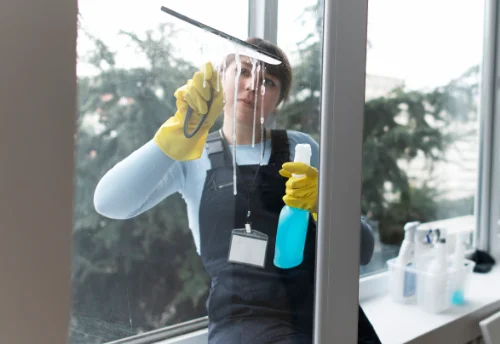 Nettoyage de vitres intérieures et extérieures à Saint-Hilaire-de-Court